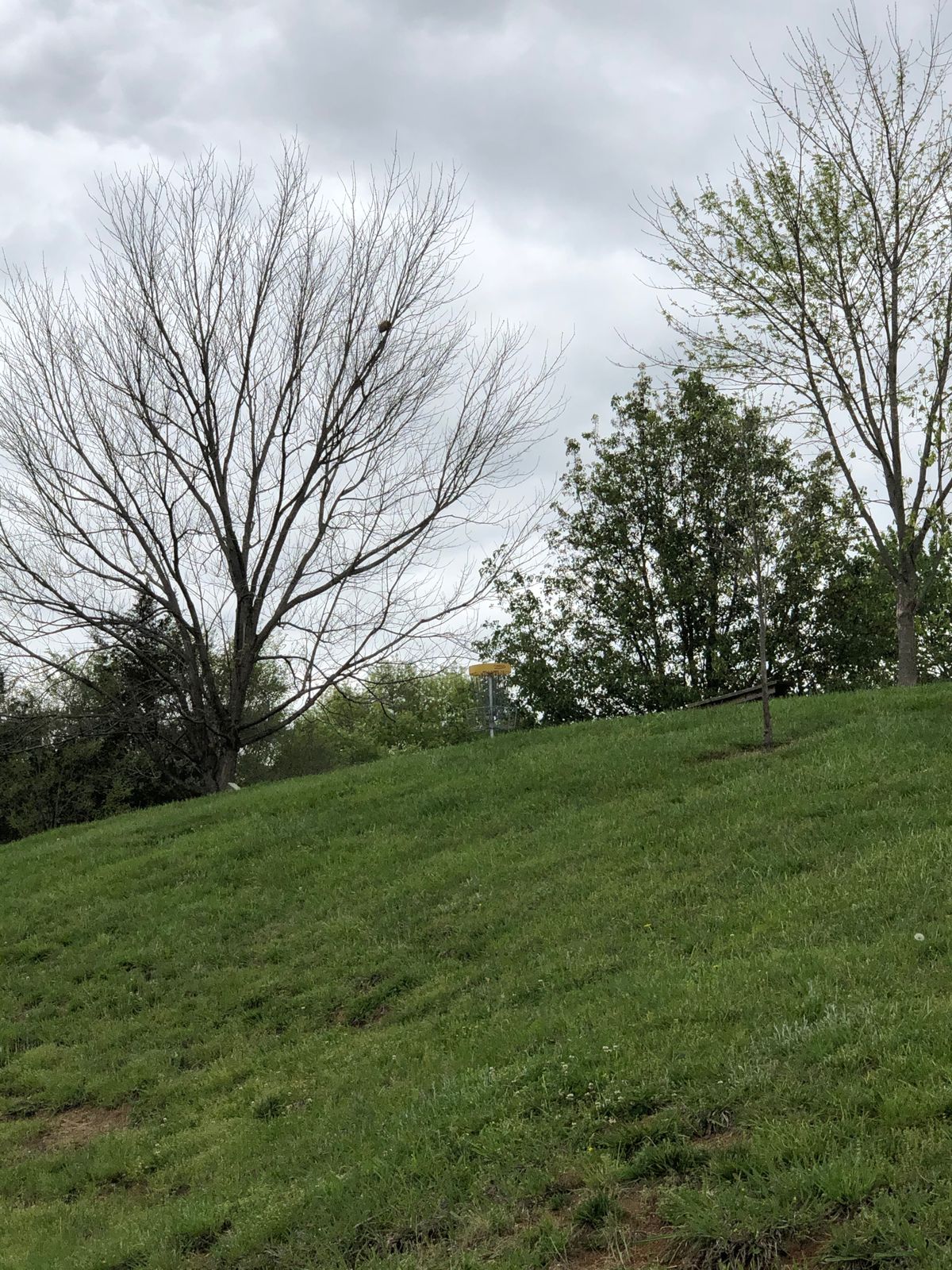 Cameron Yards Charlotte, NC UDisc Disc Golf Course Directory