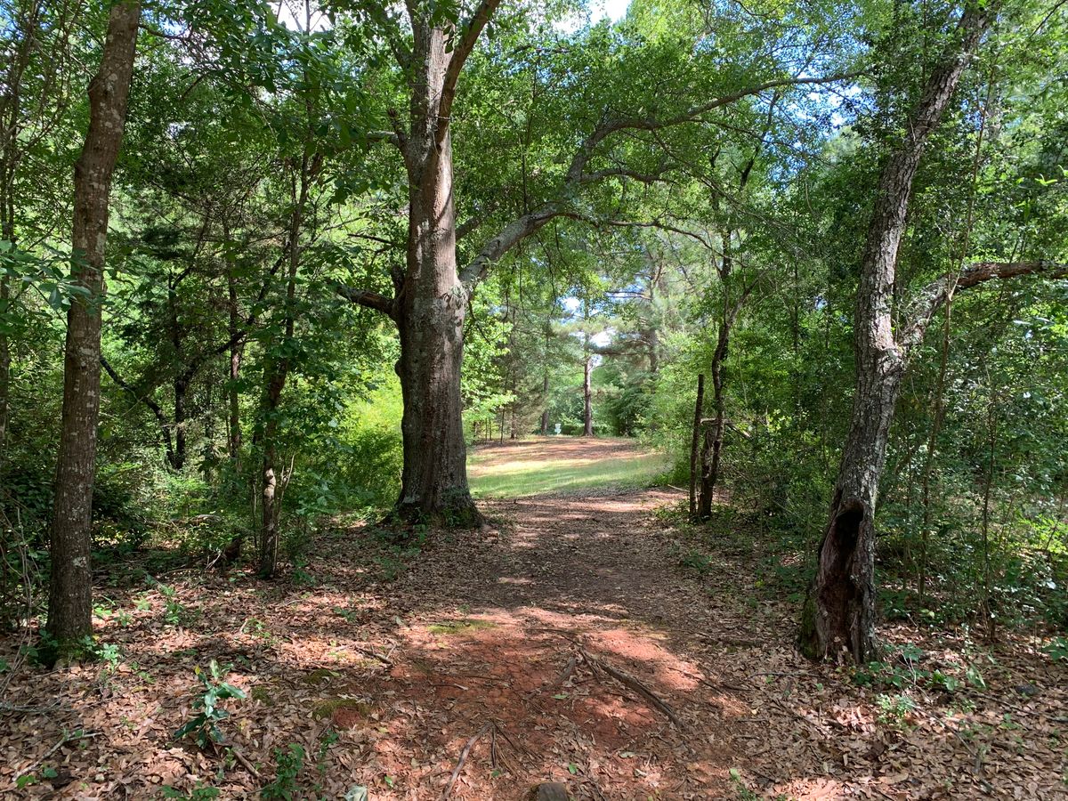 Sandersville Disc Golf Your Guide to Disc Golf in Sandersville