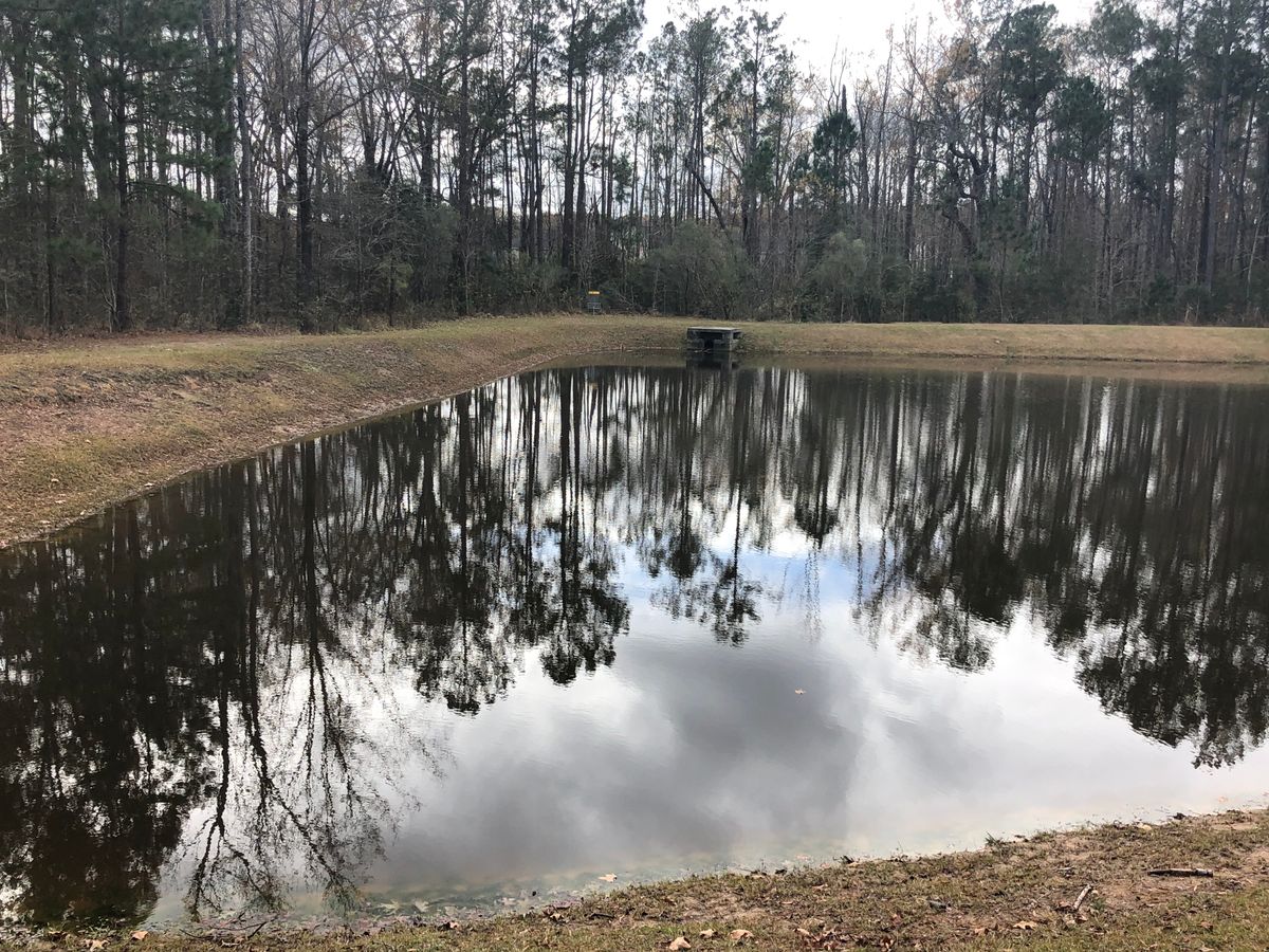 Spring Grove Plantation Monks Corner, SC Eudisco Disc Golf Course