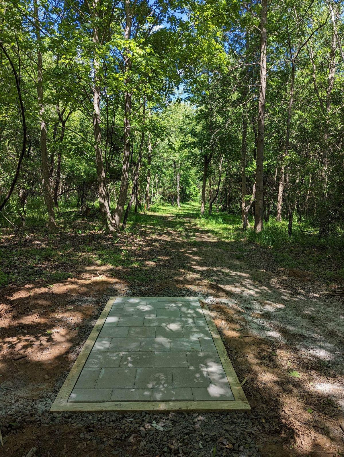 The Grove Thompson Grove Park Manalapan Township, NJ UDisc Disc