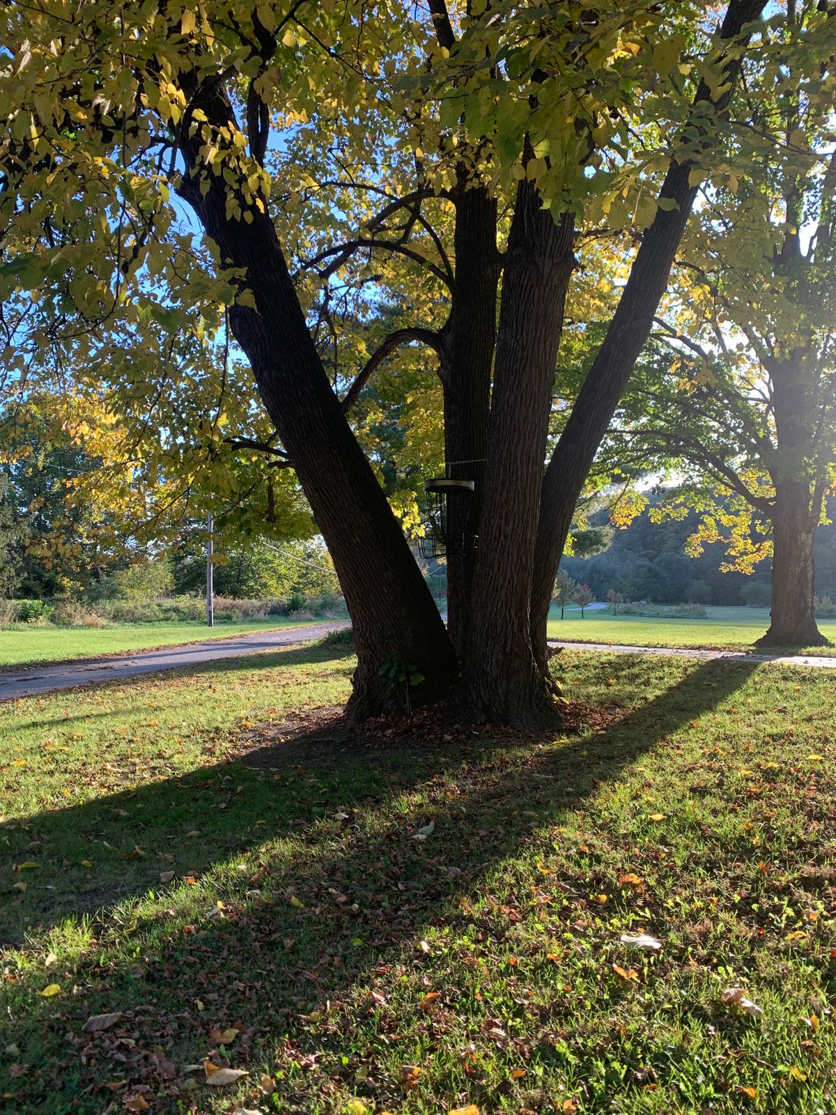 Sycamore Valley Disc Golf Course Peoria, IL UDisc Disc Golf Course