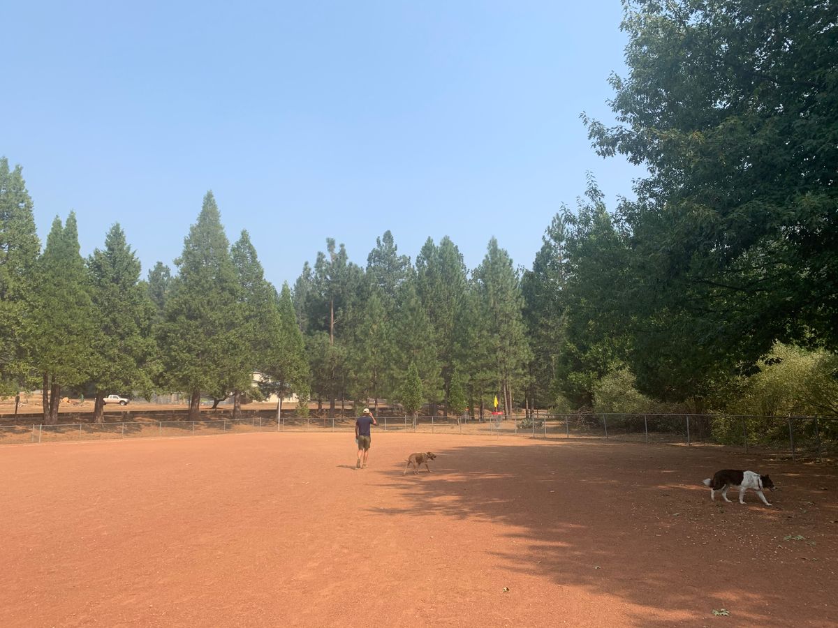 Pinebrook Arnold, CA UDisc Disc Golf Course Directory