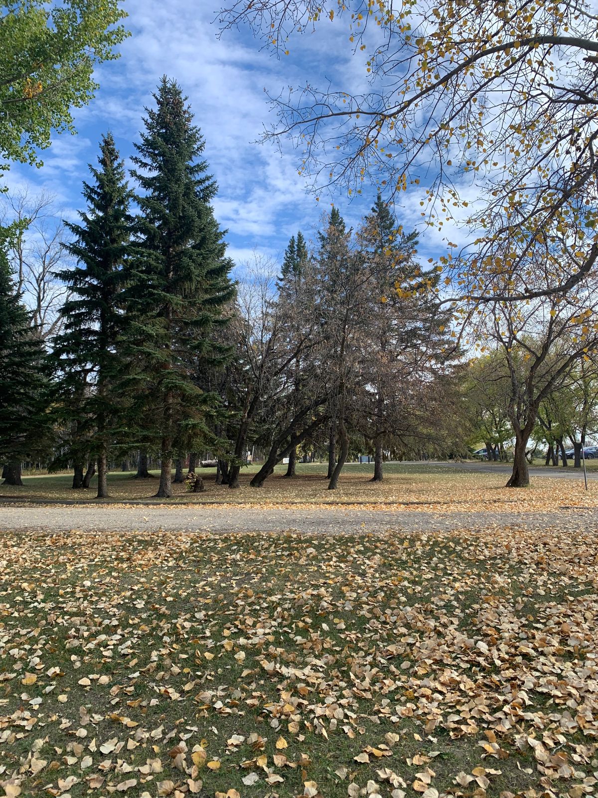 Fieldstone Campground Moosomin, SK, Canada UDisc Disc Golf Course