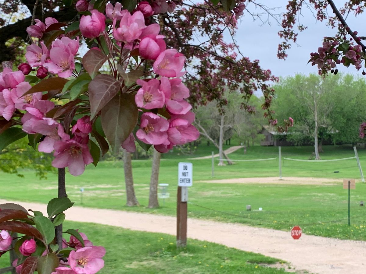 Koronis Ministries DGC Paynesville, MN UDisc Disc Golf Course Directory