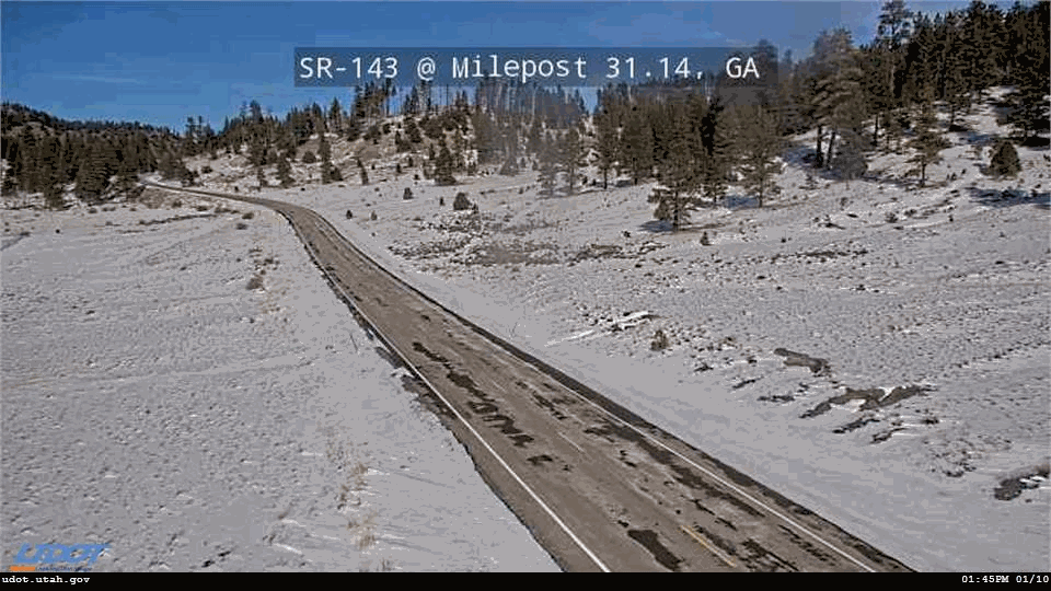 Duck Creek Village cams