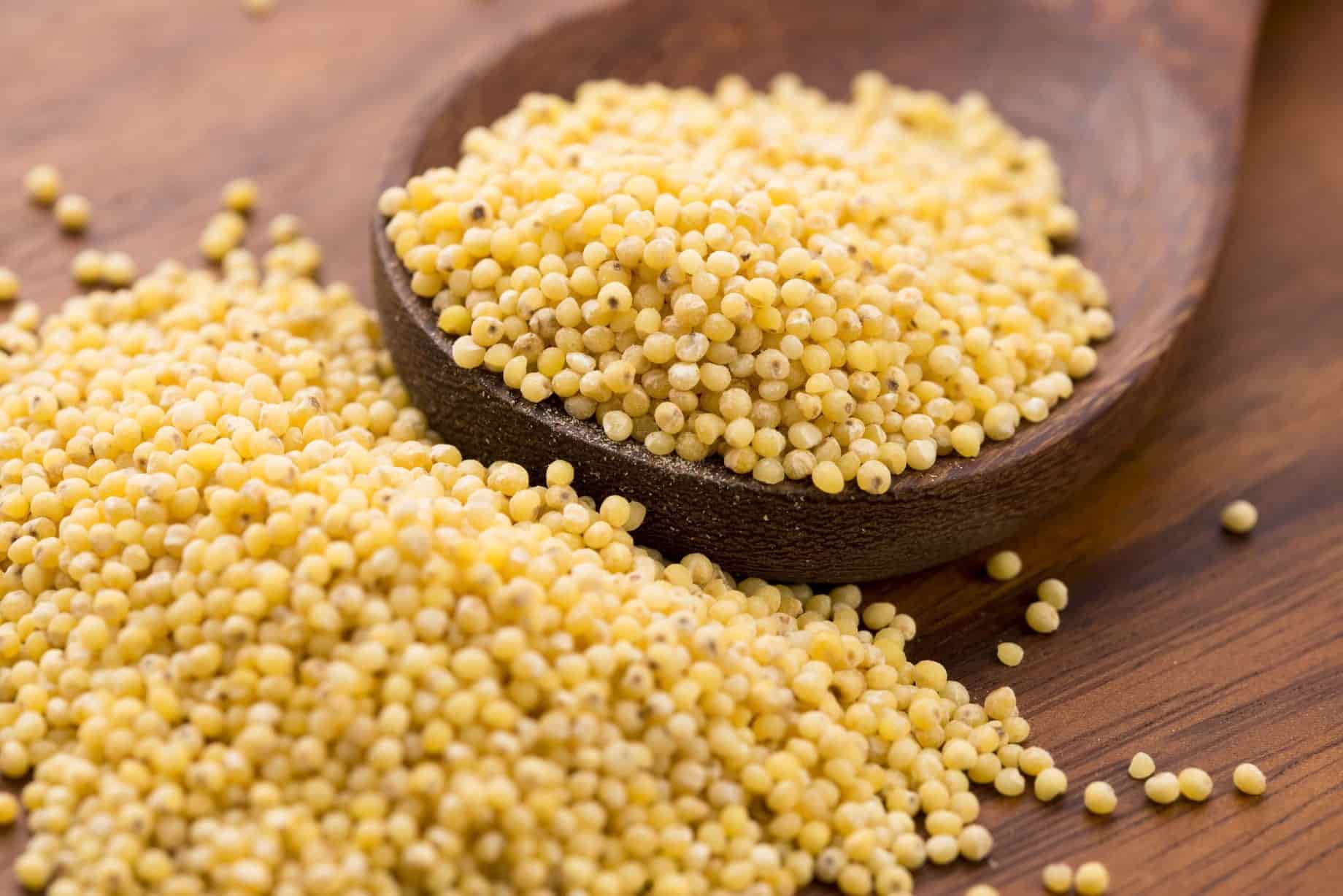 Le Millet en savoir plus sur cette céréale en or Blog Conseil Santé