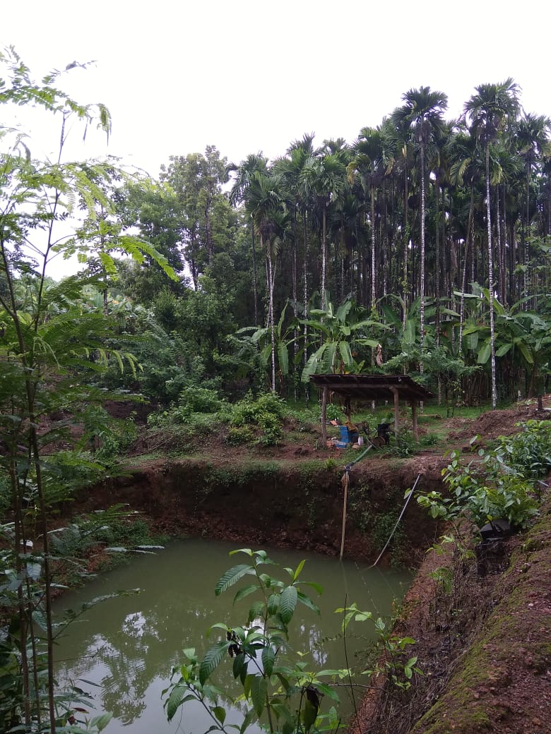 16 Acres Agriculture Land for sale at Navunda ( Byndoor Taluk) Udupi