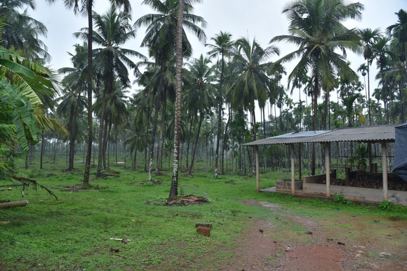 45 Acre River side Property for Sale at Brahmavar. Udupi Property