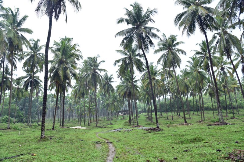 Beach Property For Sale Udupi at Leon Goodlett blog