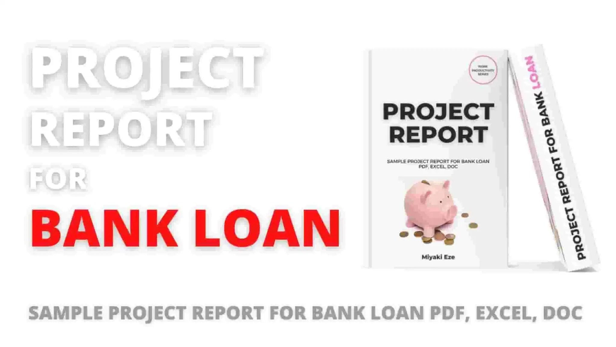 Sample project report for bank loan pdf, excel, doc