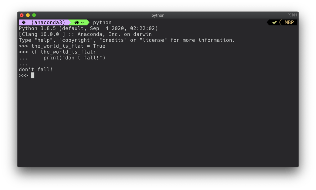 Interactive Python Shell