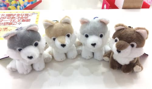 もふっとオオカミ ミステリアス VMCコンプリート ≪9月の新商品≫も