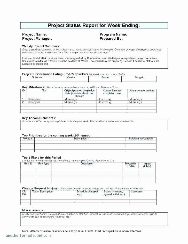 50 End Of Year Reports Templates Template