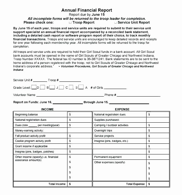 50 End Of Year Reports Templates Template