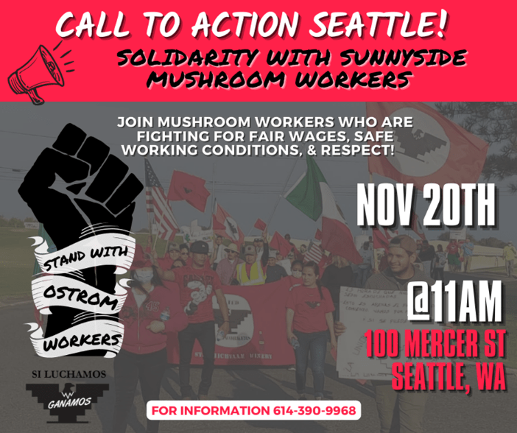 SUNDAY Ostrom Mushroom workers and supporters rallying in Seattle UFW