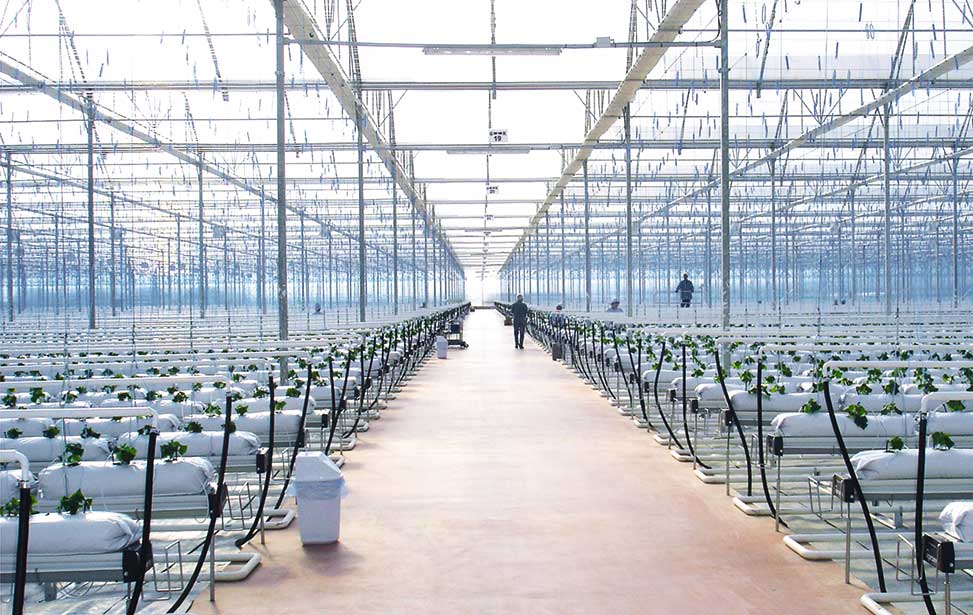 APR Greenhouses & Technology U Gaat Bouwen EN