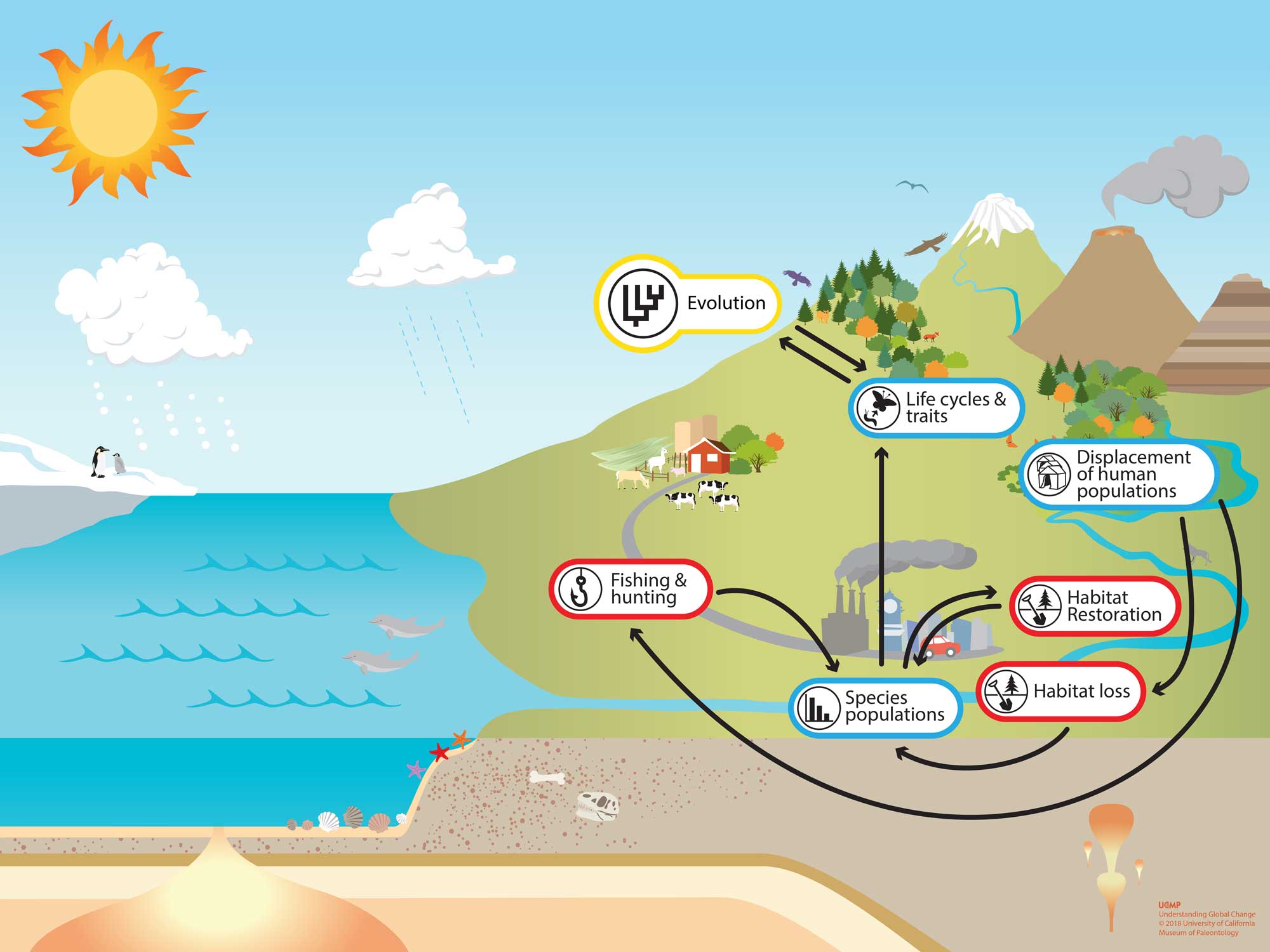 Evolution - Understanding Global Change