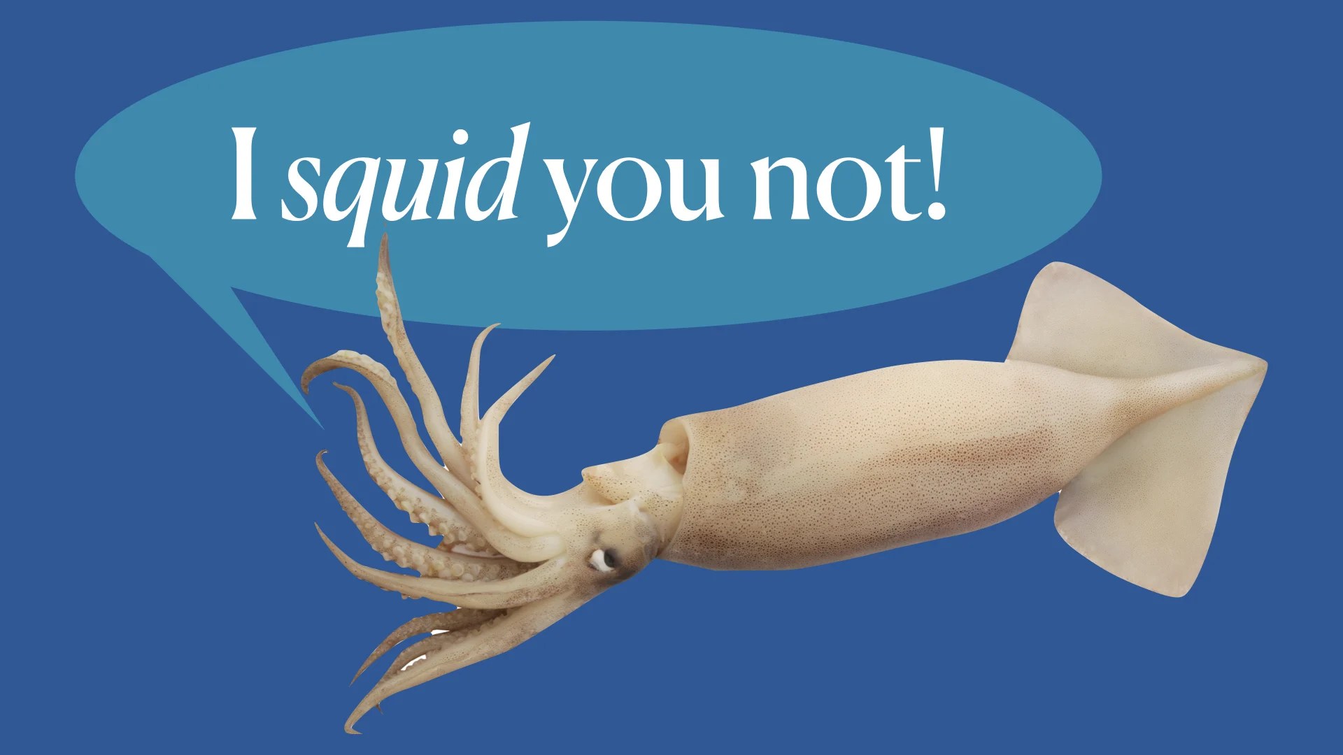 How do neurons communicate? Let’s ask the squids!