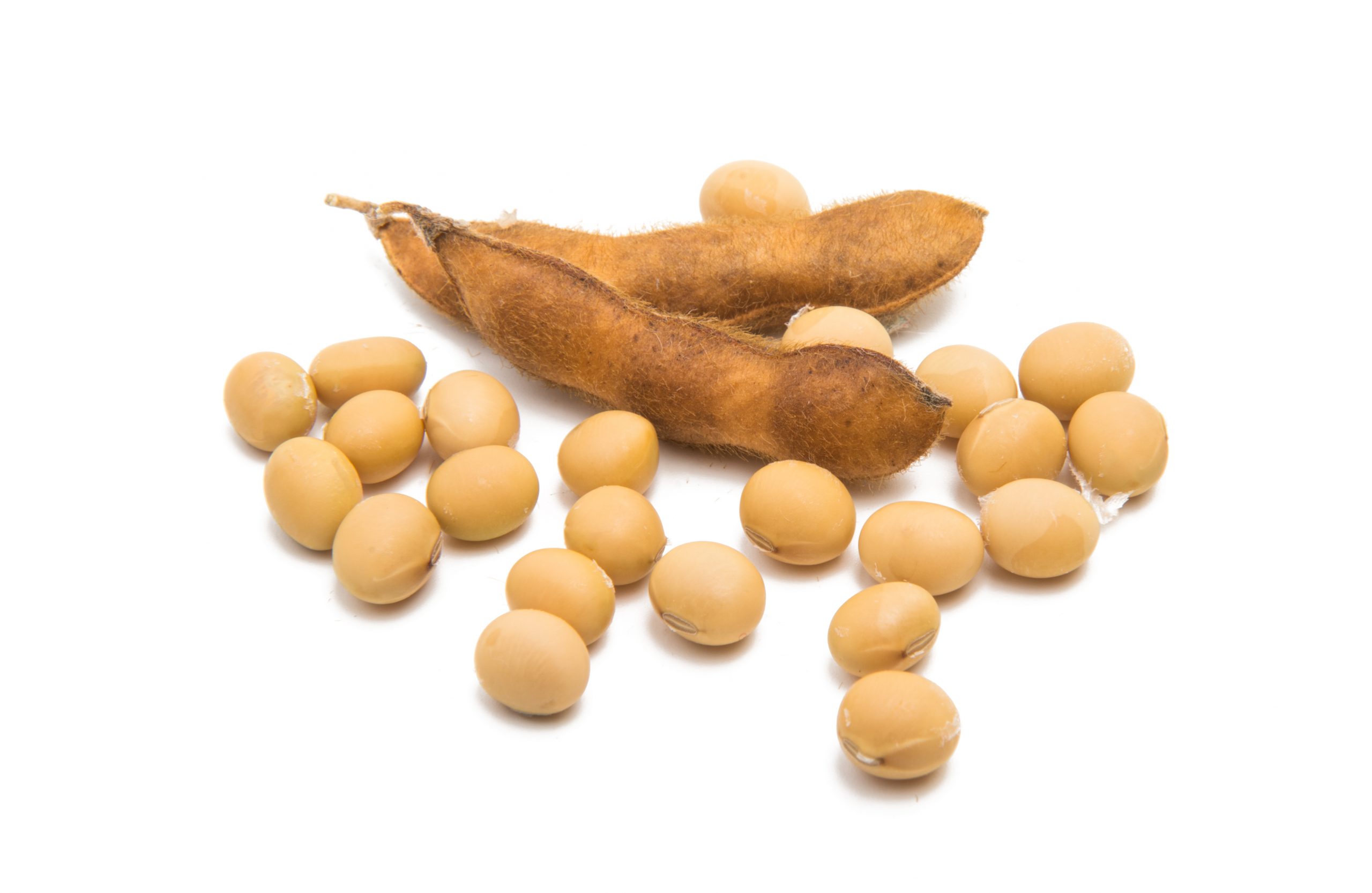VIDEO What Researchers Say About Soybean For Hair Loss