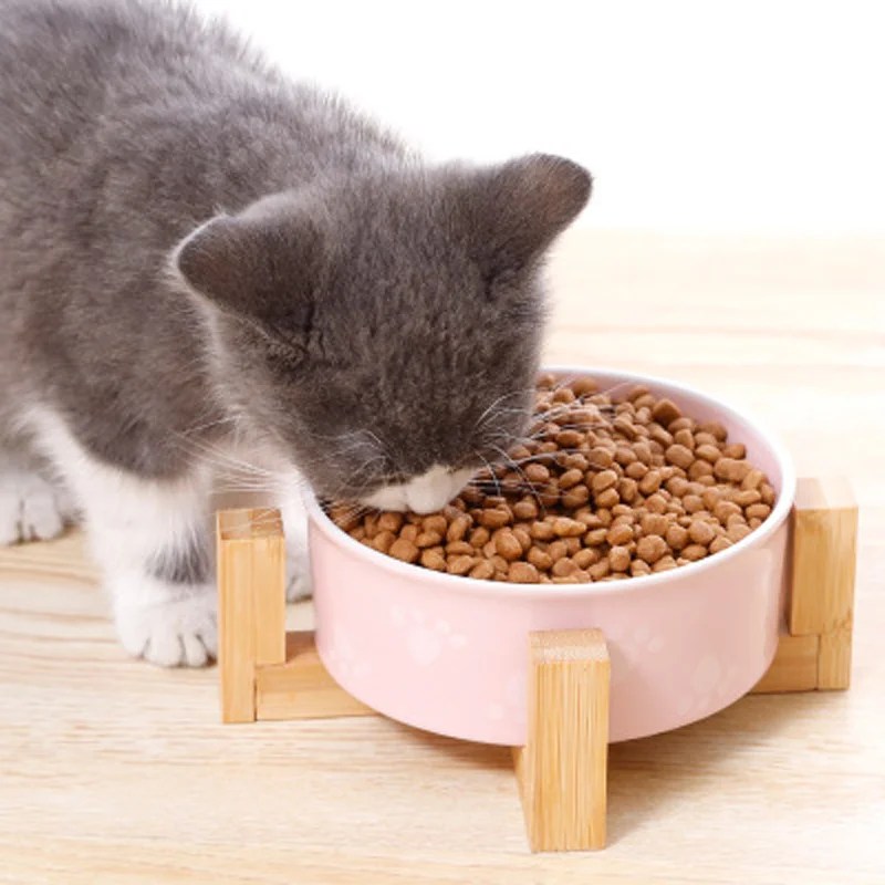 Creative Pet Water & Food Ceramic Cat Bowl w/Wooden Frame Unison