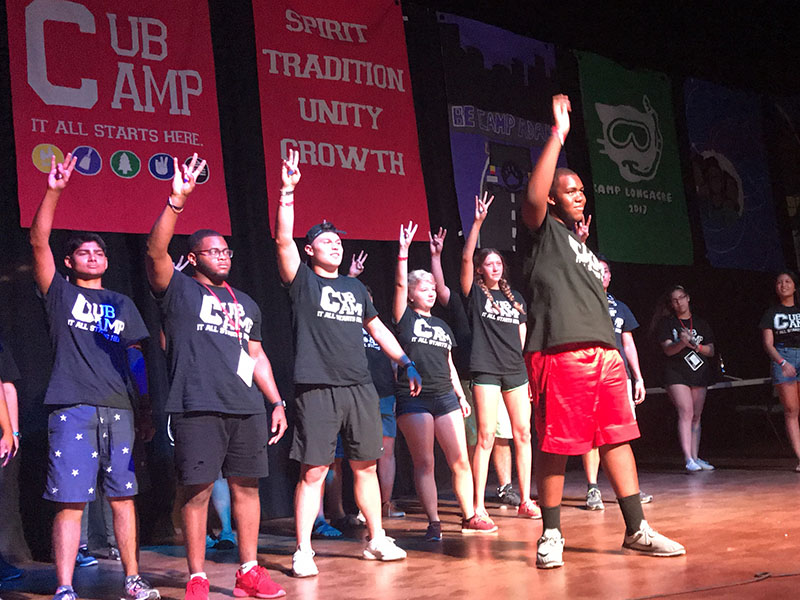 Cub Camp University of Houston