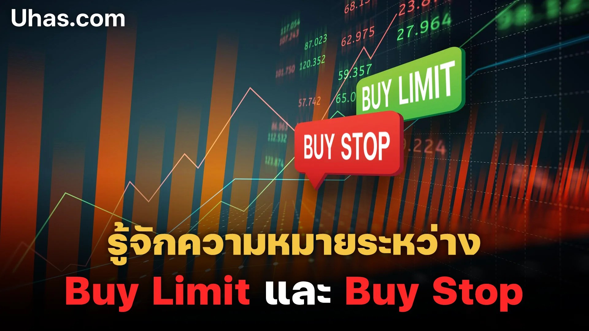 Buy Limit และ Buy Stop คืออะไร พร้อมอธิบายความแตกต่างของทั้งคู่