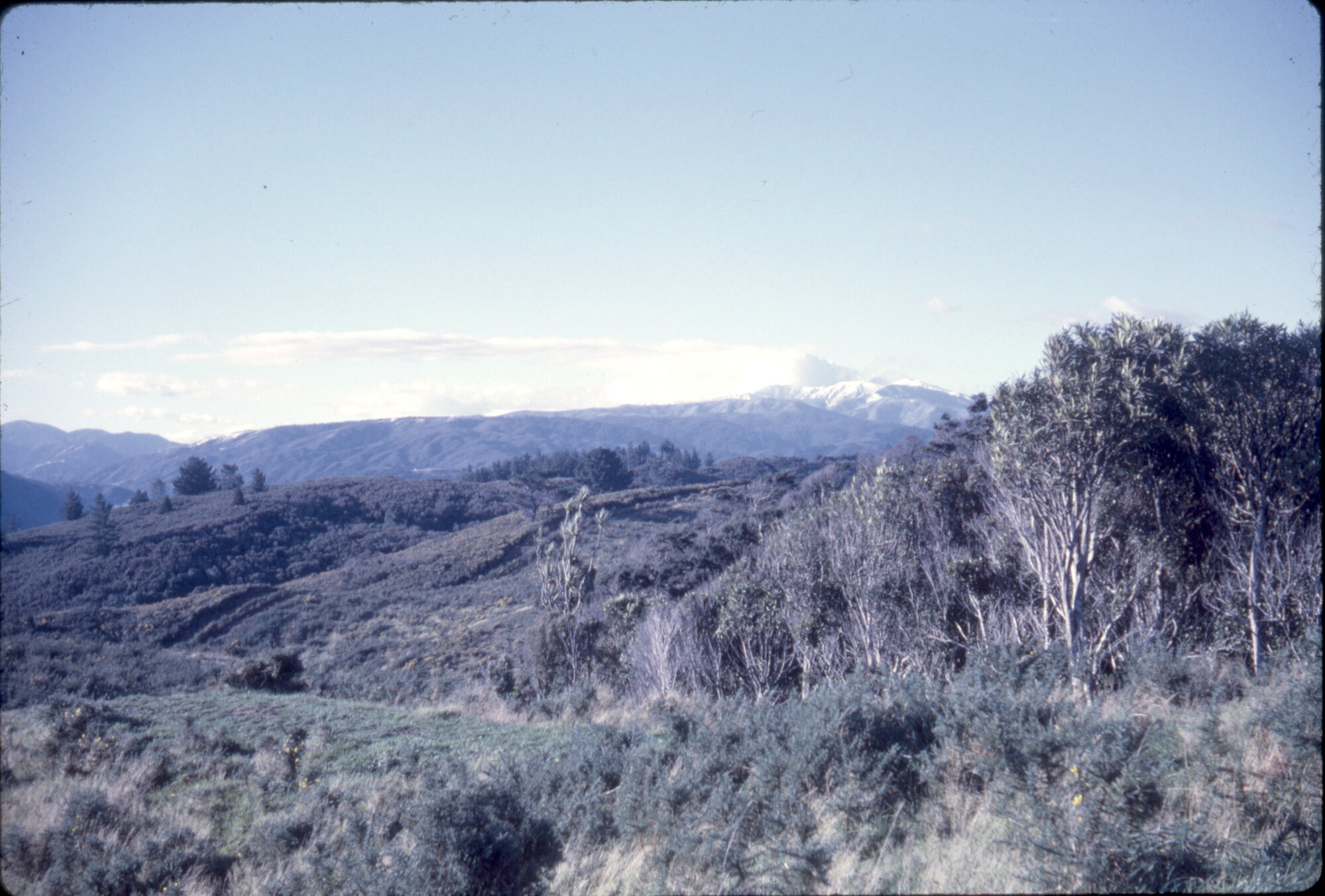 Tararuas; from Mangaroa Hill road? Upper Hutt City Library