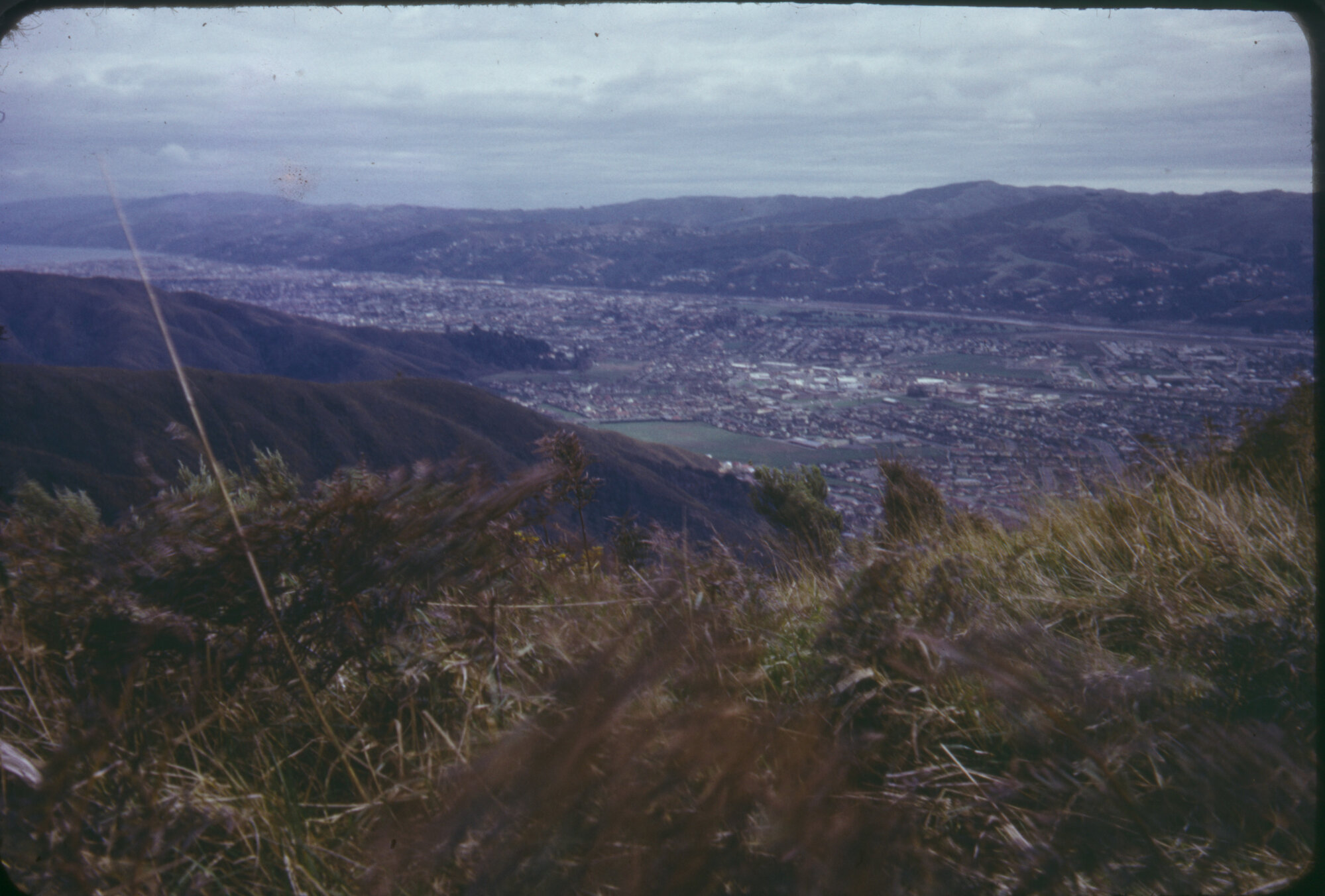 Lower Hutt, from hill to the east. Upper Hutt City Library