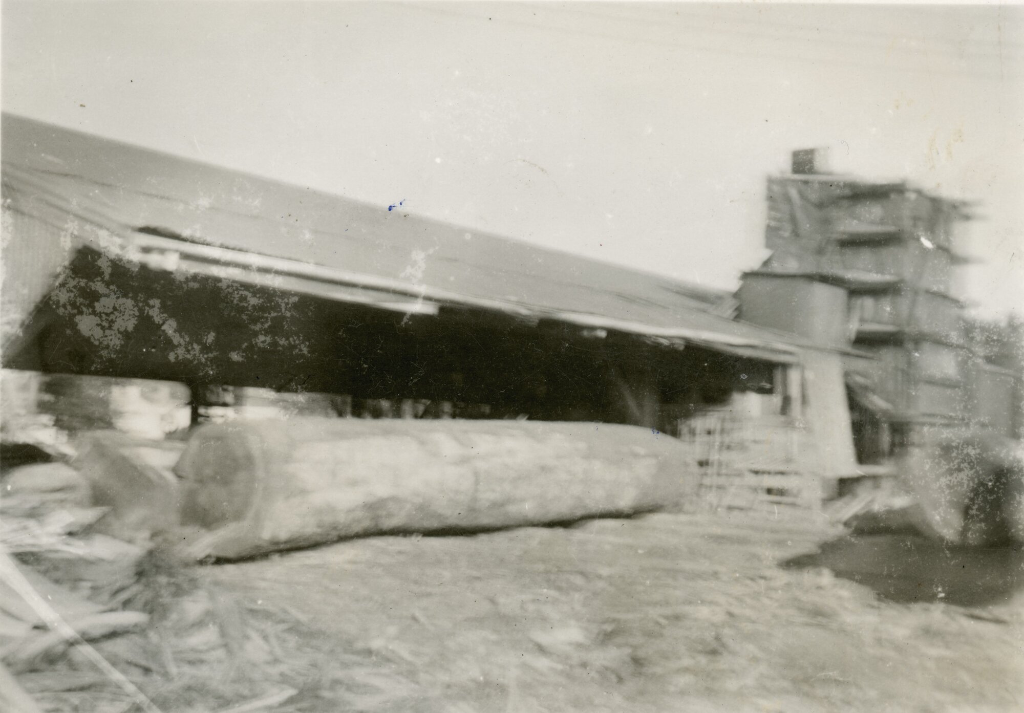 Timber industry; Campbells Sawmills Ltd, Goodshed Road; rimu log