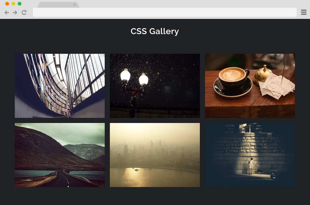 30+ CSS Image Gallery Examples & Templates 2019