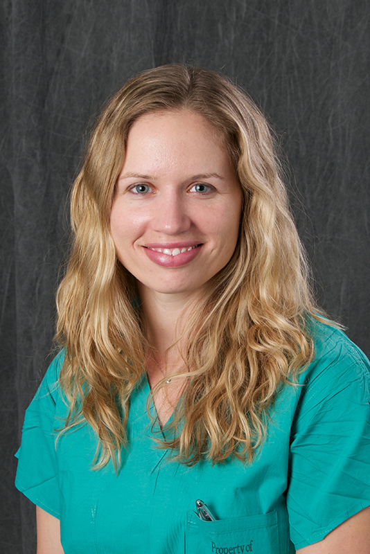 Stacy C. Barnes University of Iowa Hospitals & Clinics