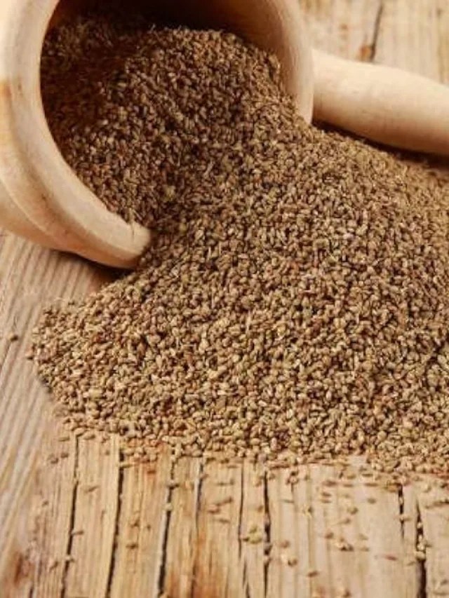 10 Potential Health Benefits of Ajwain (carom seeds) » United Impacts