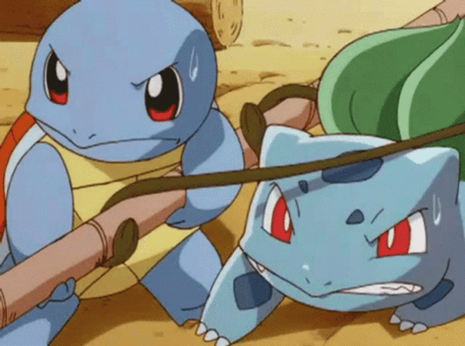 Pokemon Squirtle And Bulbasaur Teamwork GIF UINona GIFs