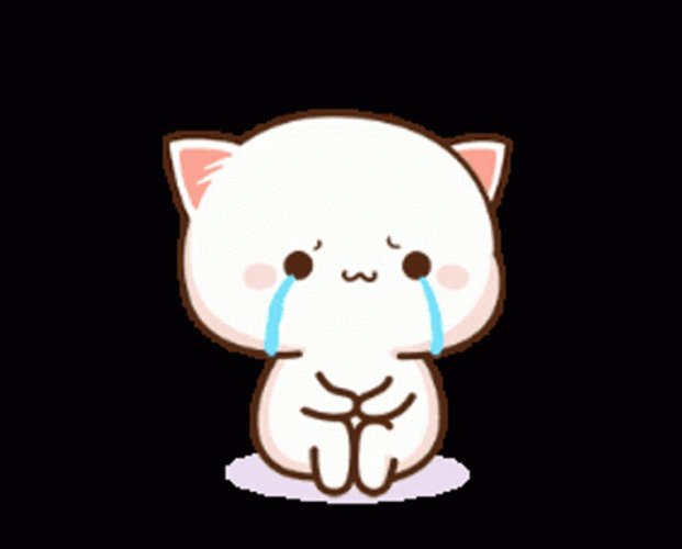 Sad Peach White Cat GIF UINona GIFs