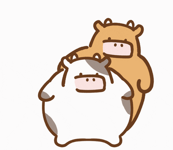 Dancing Cows GIF UINona GIFs