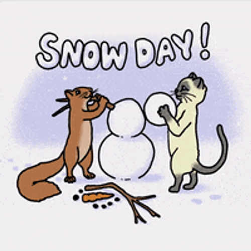 Cat And Squirrel In Snow GIF UINona GIFs