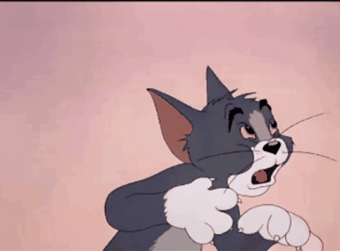 Shocked Tom And Jerry Cat GIF UINona GIFs