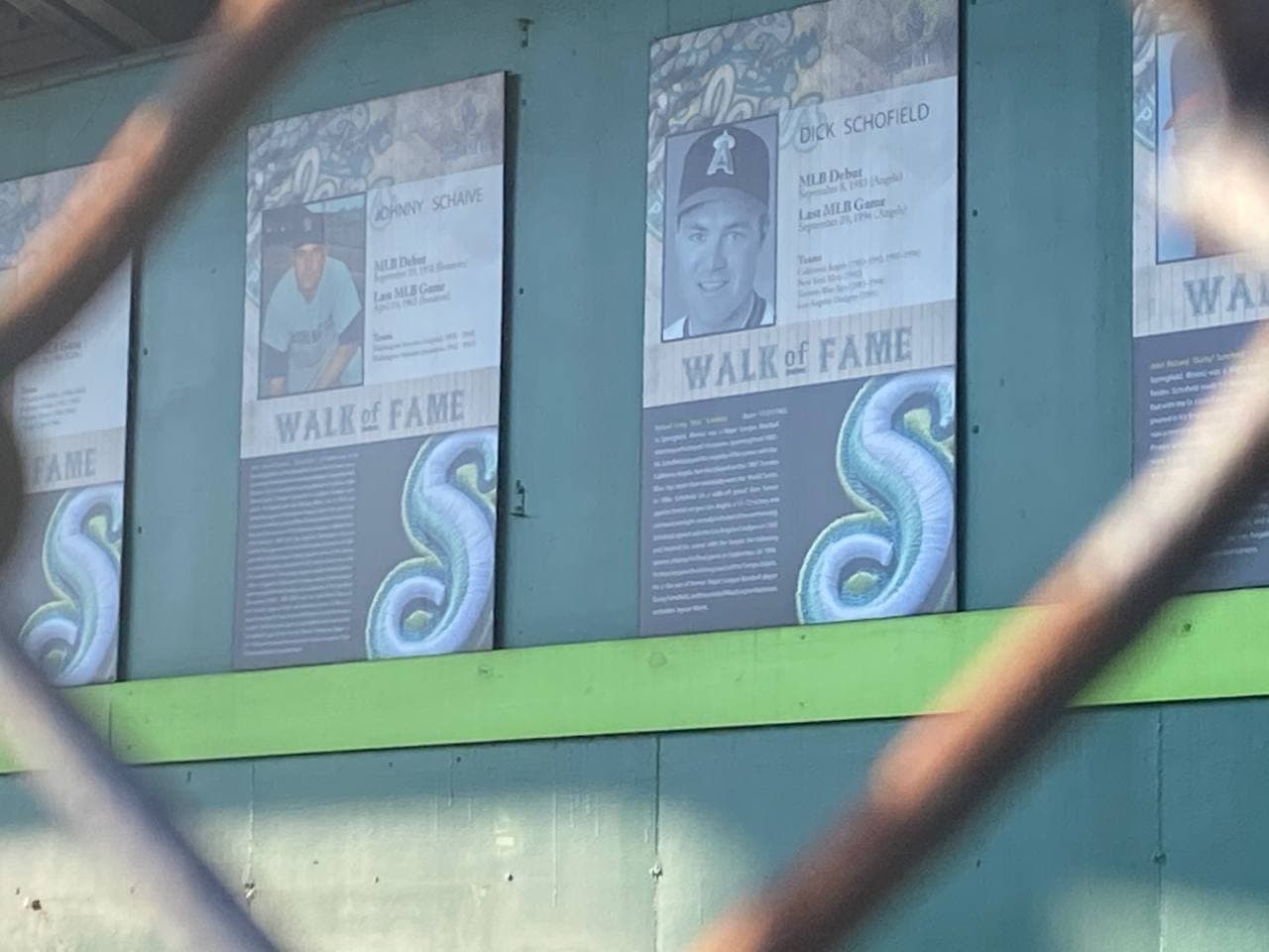 BEYOND Springfield Lucky Horseshoes The Observer