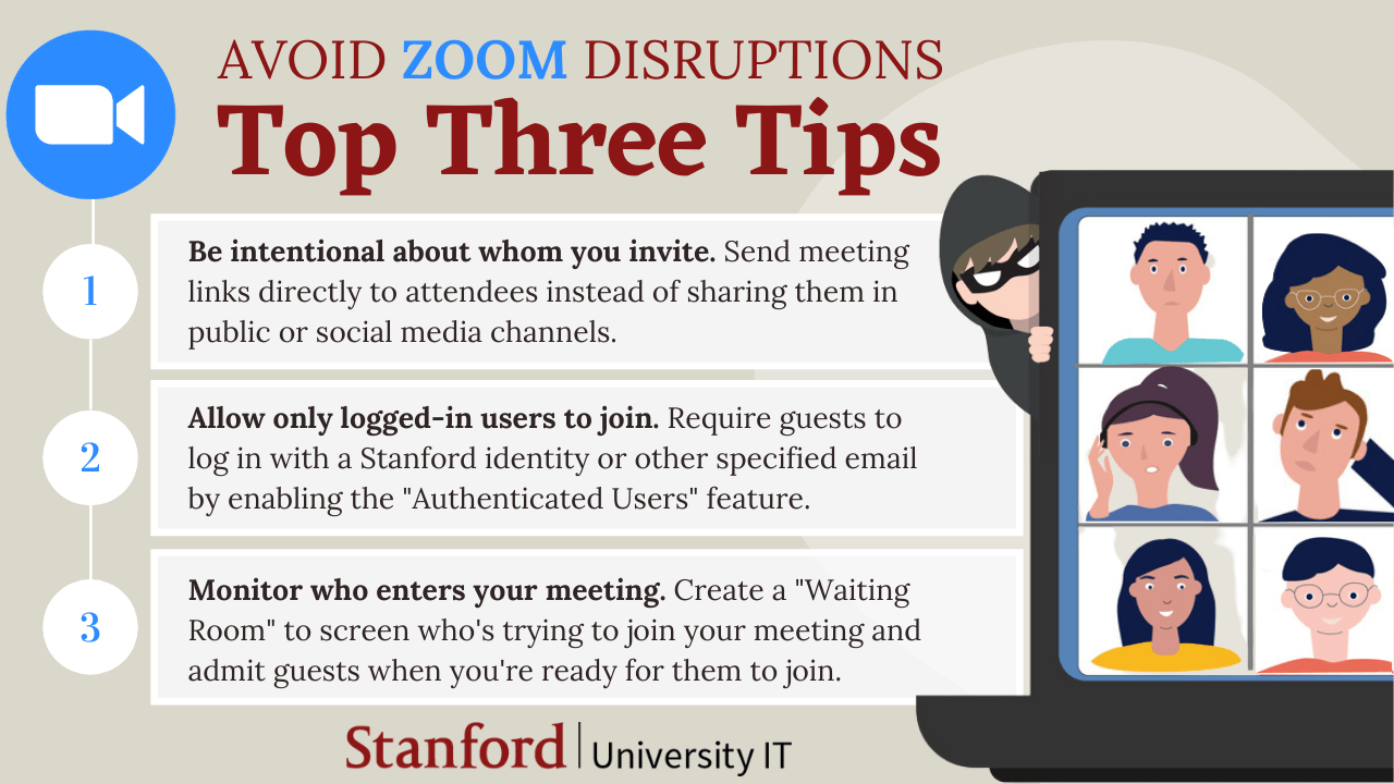 Zoom Infographic
