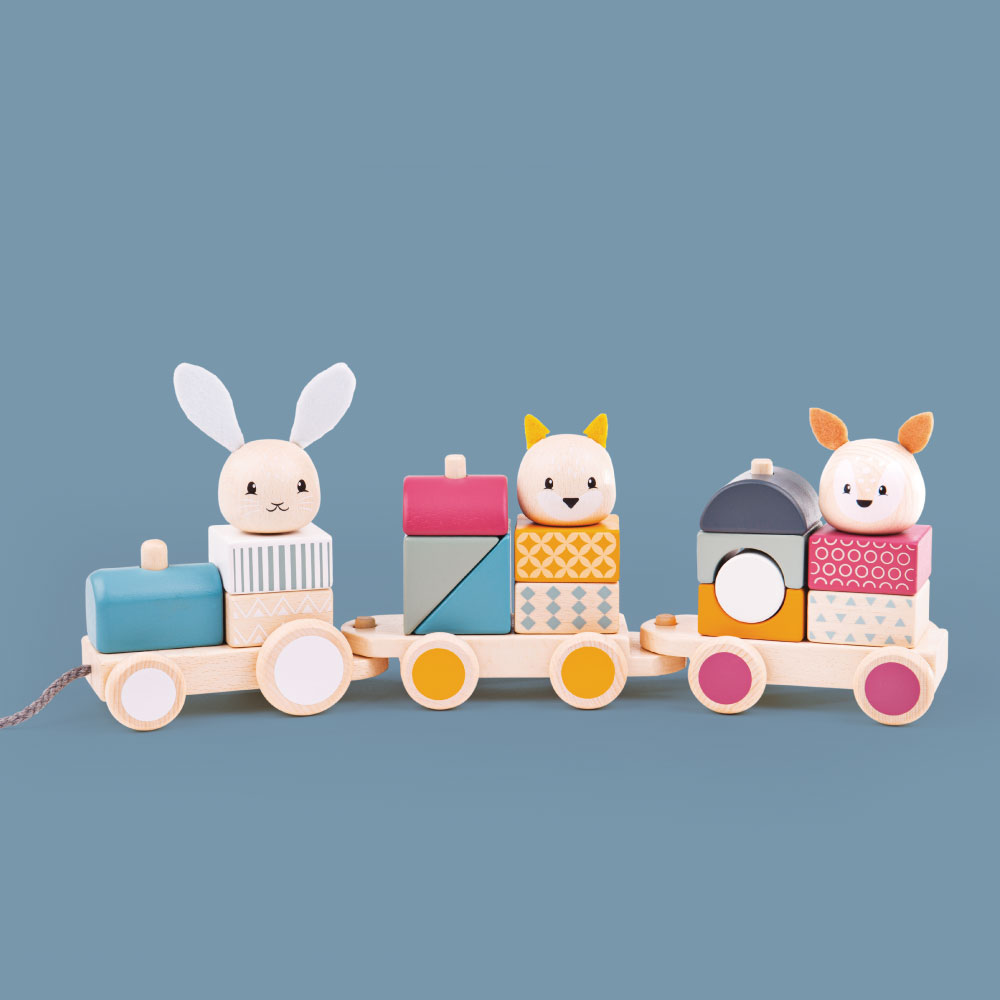 Sustainable wooden toy makers Bigjigs Toys Forest Stewardship