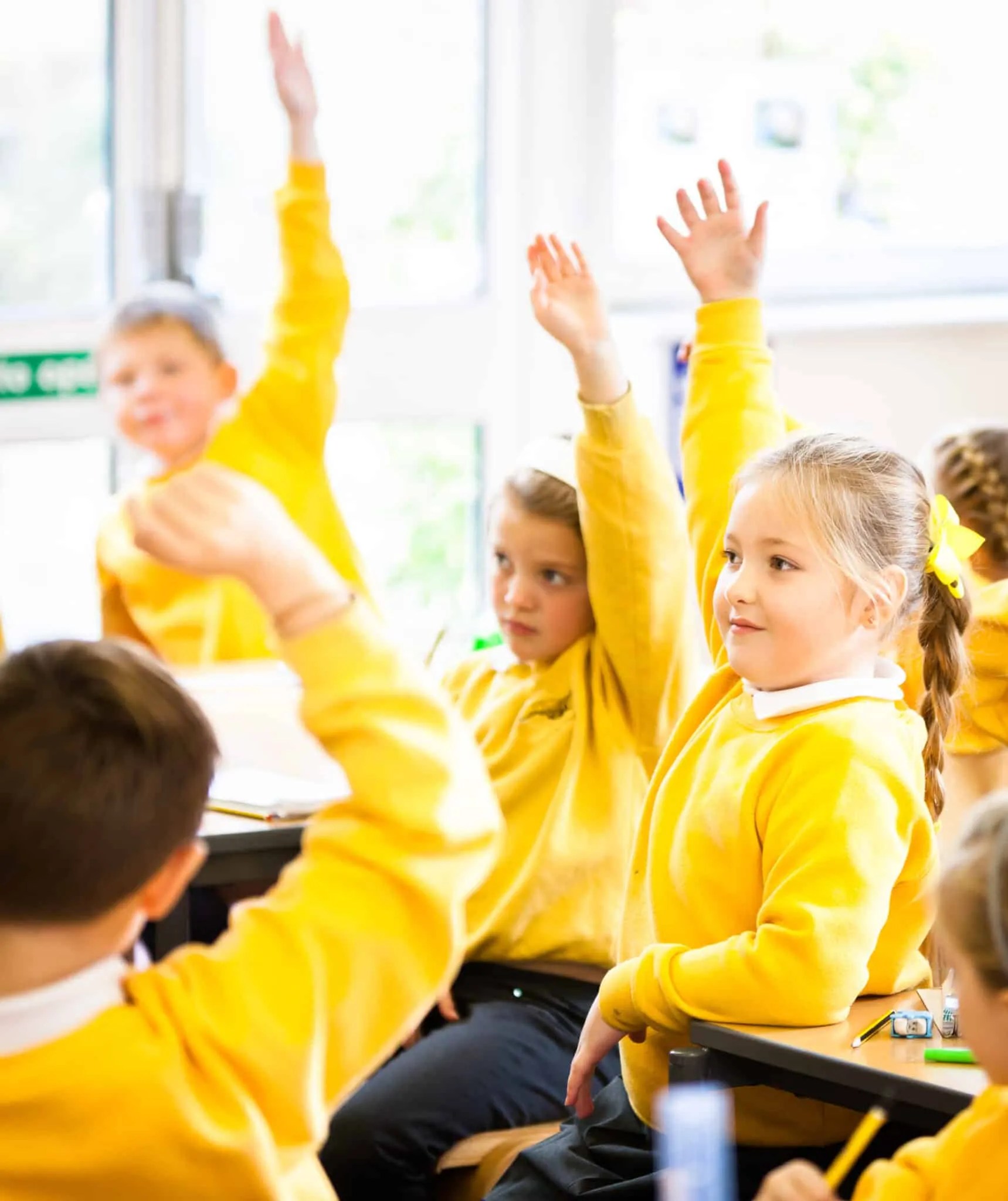 Primary School Assessment Tools | Renaissance Learning