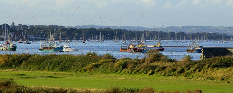 Dawlish Warren Golden Sands Holiday Park Book Your Holiday Private Rentals Caravan