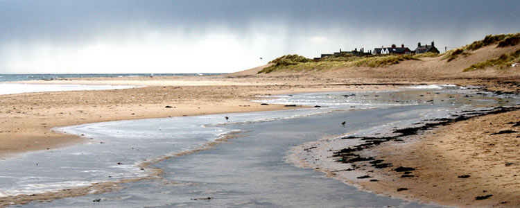 Cresswell Cresswell Towers Book Your Holiday Private Rentals Caravan Holidays UK