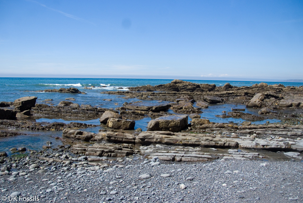Cornwall UK Fossil Collecting