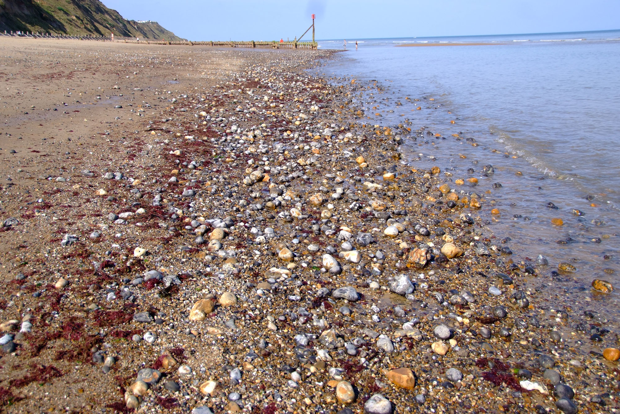 Where to find fossils UK Fossil Collecting