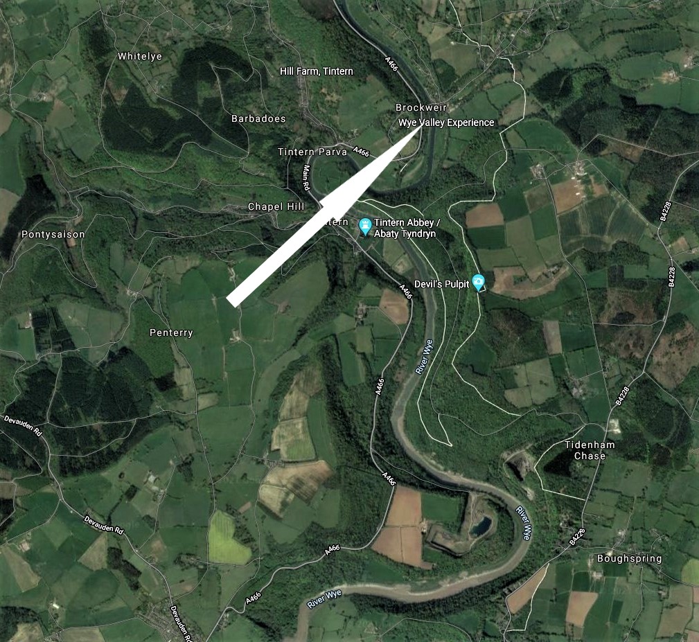 Wye Study UK Glass Eels