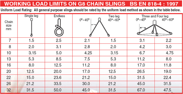 EWL LENGTH 1 Meter Clevis Sling Hook with Self Locking Hook UK