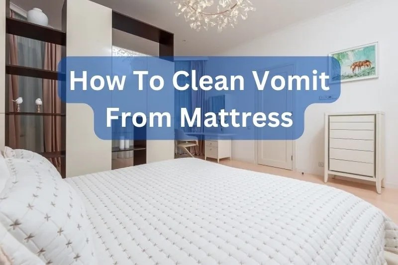 How To Clean Vomit From Mattress Step By Step Guide 2023