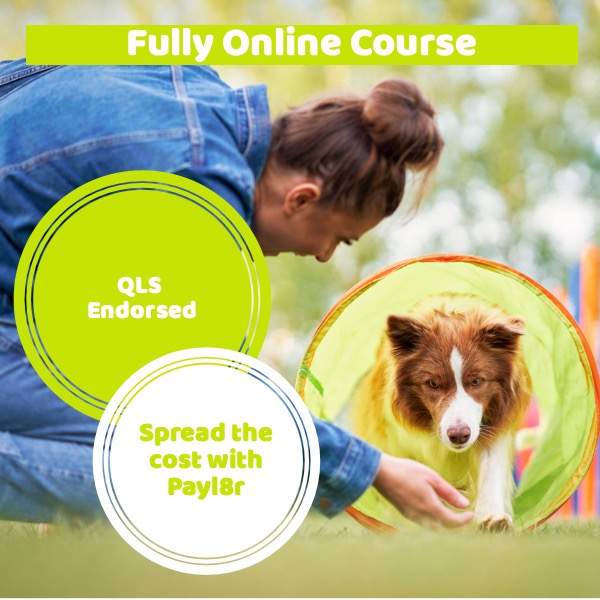 Dog Training Course Level 3 Online Course UK Open College