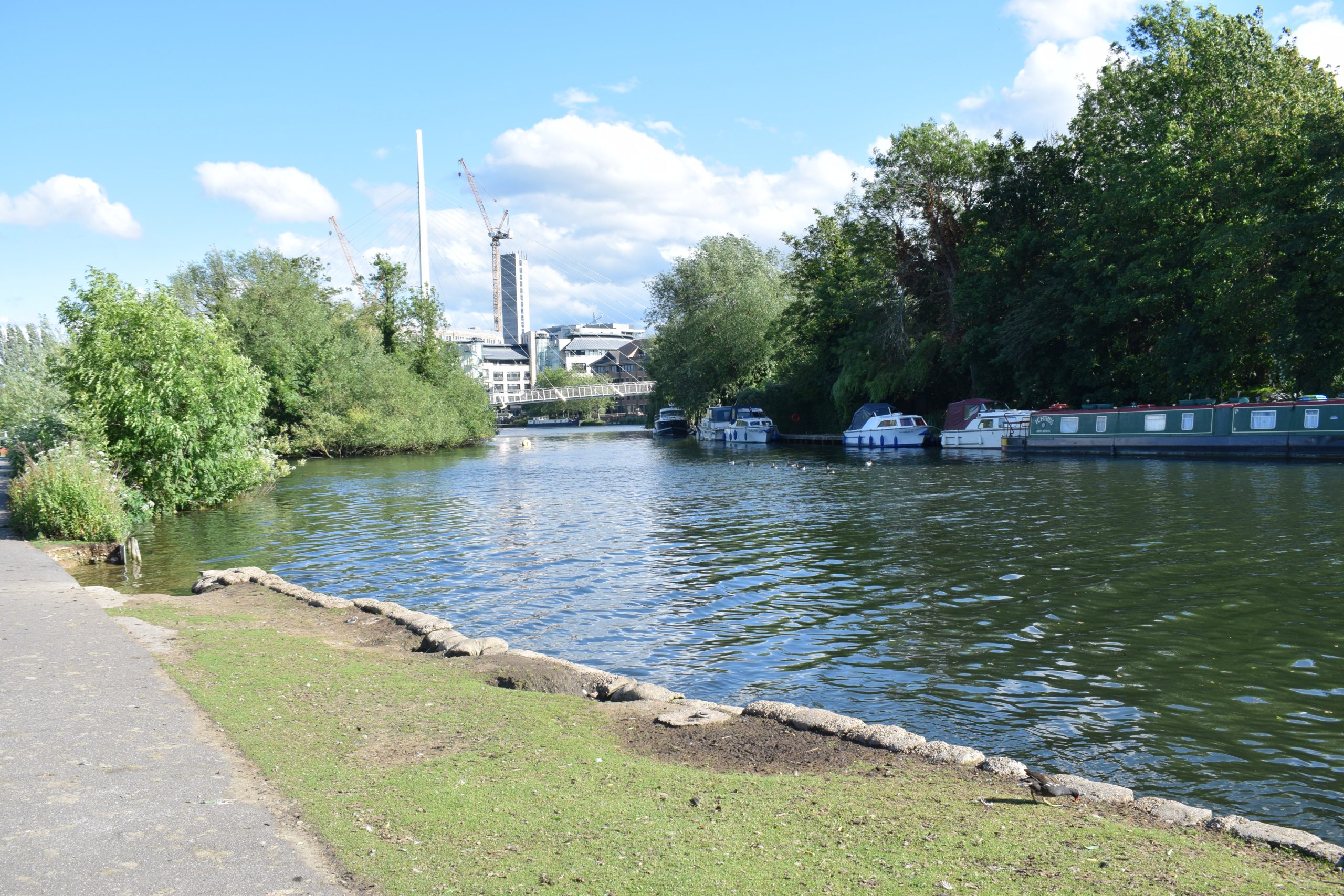 View from the riverbank Time to set the Thames Valley free UK